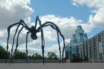 Spider and Art Gallery