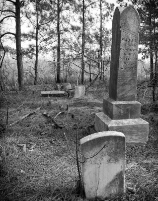 Cemetery--Lower Hoopers Island