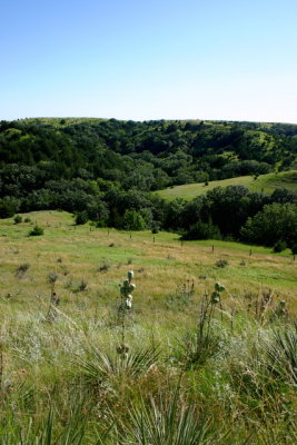 Rolling hills surrounding North Loup River