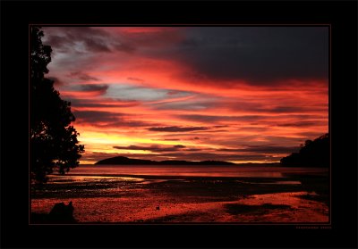 Shelly Beach