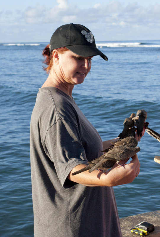Feeding the birds 2.jpg