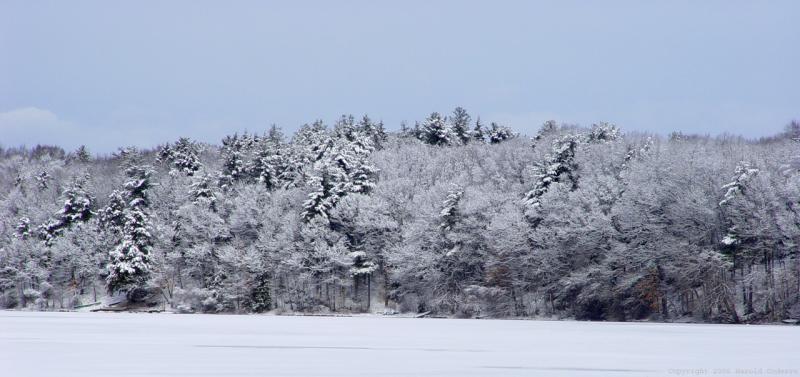 February Lake Shore.jpg