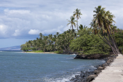 Near Lahaina harbor.jpg