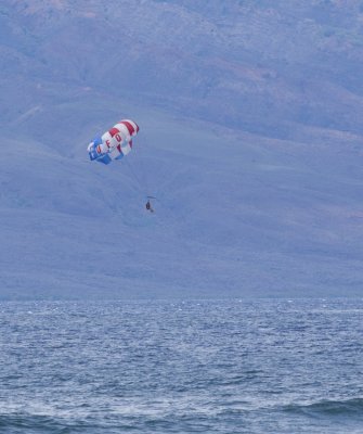 Paragliding.jpg