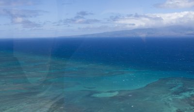 Coral reef.jpg