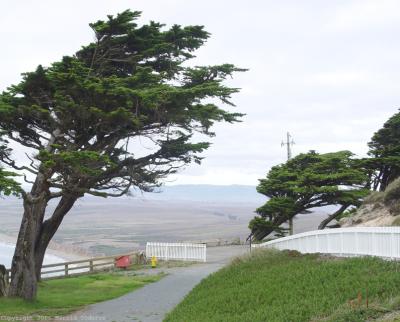 Looking up the Coast.jpg