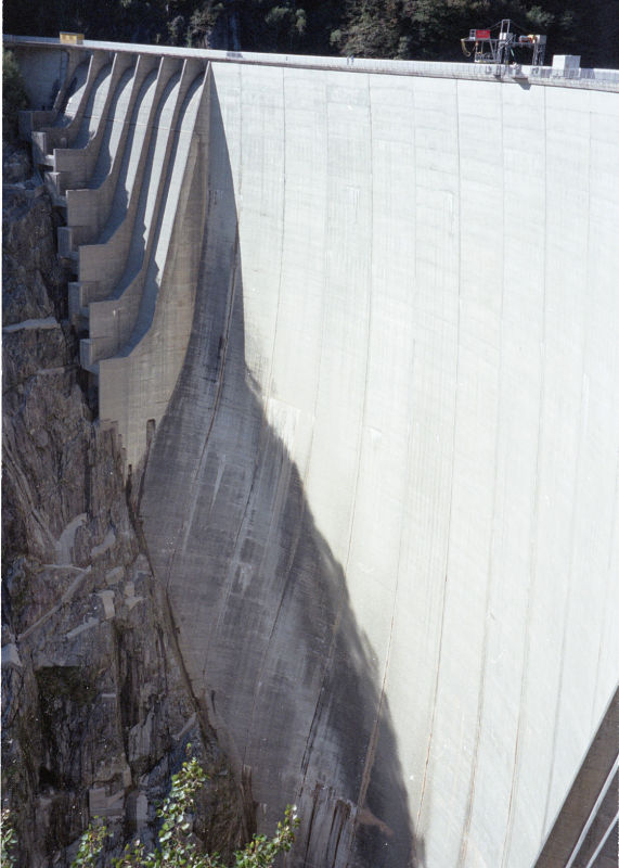 Val Verzasca Dam.jpg