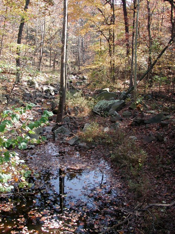 DSCN0970.JPG