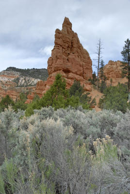 DSC086.jpg