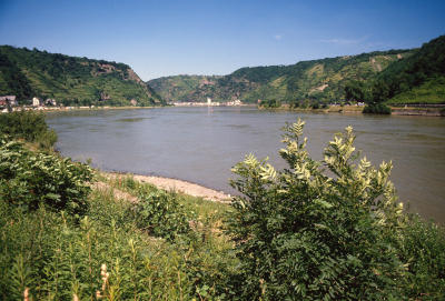 g4/32/671332/3/61660584.u68FhHUN.jpg