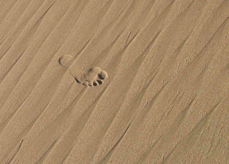 Walk Gently Upon the Earth