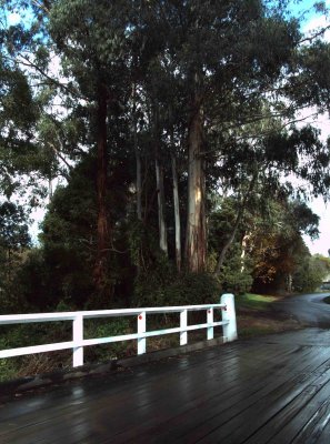 Bridge to discovery