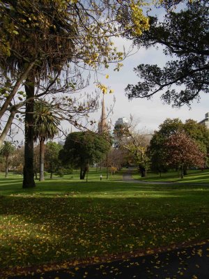 Melbourne from Treasury Gardens