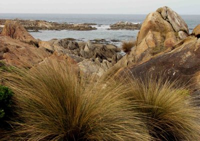 Sea View - Salmon Rocks