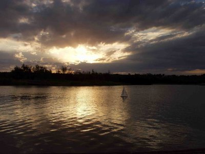Evening at Lilydale Lake