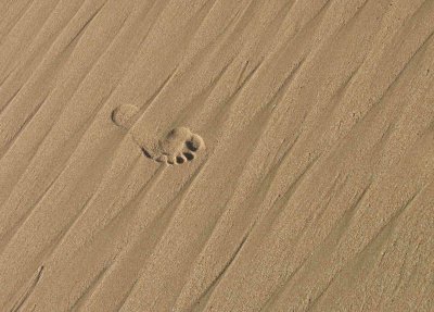 Walk Gently Upon the Earth