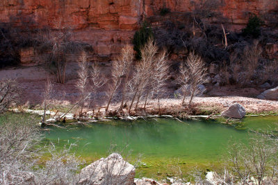 IMG_7091 Verde River.jpg