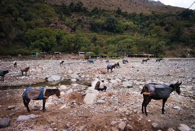 28-Morocco2©ALBERT_ENGELN.jpg