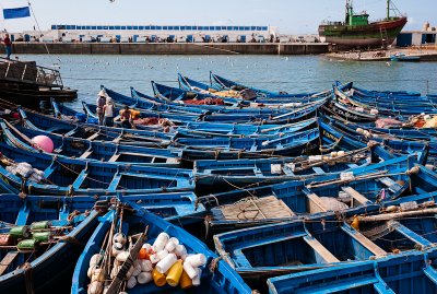 38-Morocco2©ALBERT_ENGELN.jpg