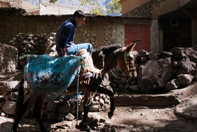 63-Morocco2©ALBERT_ENGELN.jpg