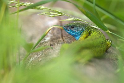 IMG_3944.jpg