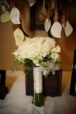 IMG_4336.JPG