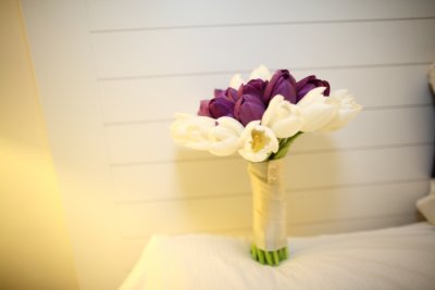 IMG_8540.JPG