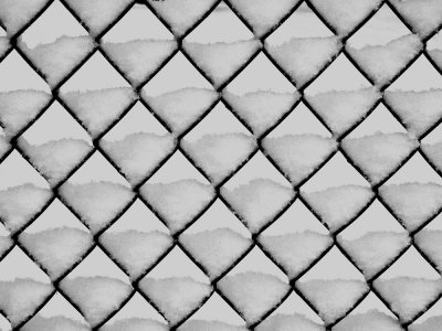 Snowy fence