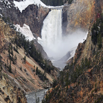 Lower Yellowstone Falls