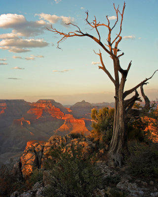 Mather Point,  South rim