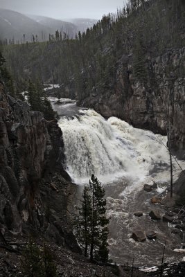 Yellowstone National Park