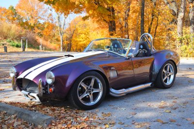 Ford ac cobra replica.