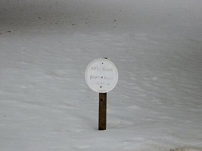 g4/32/845132/3/140036886.avhvPE4d.jpg