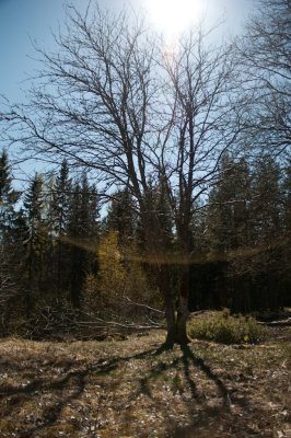 Konungastollen_014.jpg