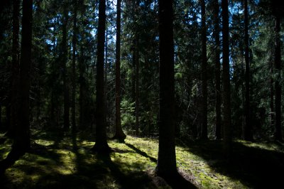 Konungastollen_018.jpg