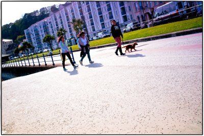 Walking the dog on Douglas Prom