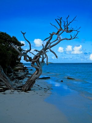 Jabberwocky Beach - Antigua