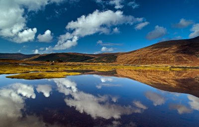 Beg Reflections