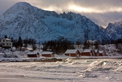 Rollers at Bovaer