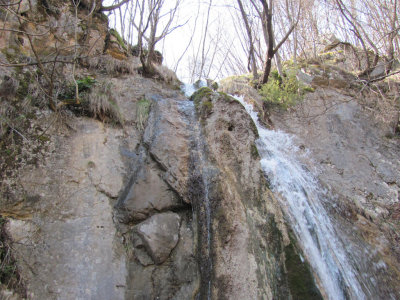 IMG_5318.JPG