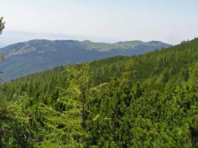 P7100014_Velika planina.JPG