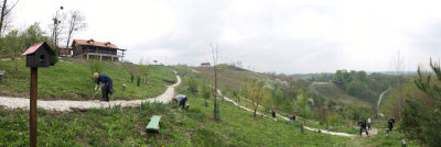 P4150690_pan.JPG