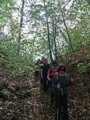 P4220750.JPG