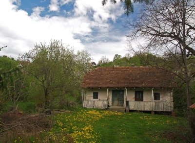 P4220754.JPG