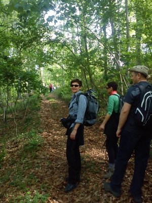 P4220756_2.jpg