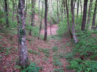 P4220777.JPG