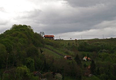 P4220779.JPG