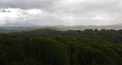 P4220859.JPG