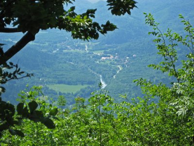 IMG_6331.JPG