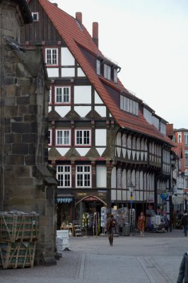 DSC_0337.jpg